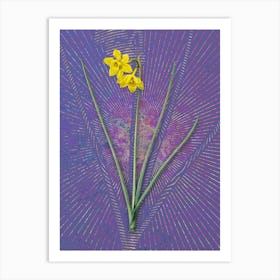 Vintage Narcissus Odorus Botanical Illustration on Veri Peri Art Print