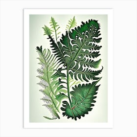 Royal Fern Wildflower Vintage Botanical 2 Art Print