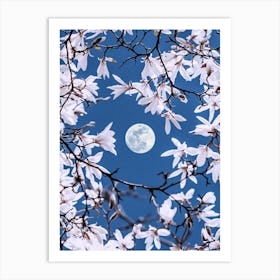 Moonlight Through Sakura Blossoms Art Print