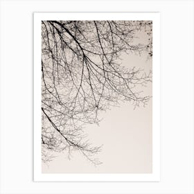 Branches 5 Art Print