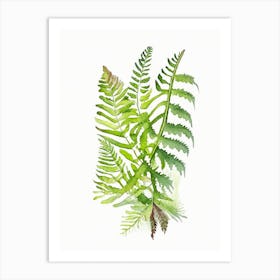 Evergreen Fern Wildflower Watercolour 1 Art Print