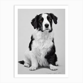Welsh Springer Spaniel B&W Pencil Dog Art Print