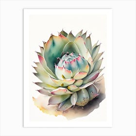 Lophophora Williamsii Storybook Watercolours Art Print