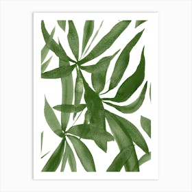 Green Leaves Art Print