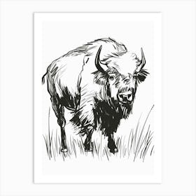 B&W Bison Art Print