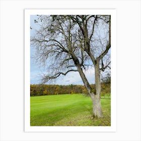 Bare Tree In A Field Art Print