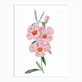 Pink Flowers 2 Art Print