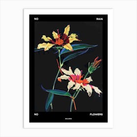 No Rain No Flowers Poster Gaillardia 1 Art Print