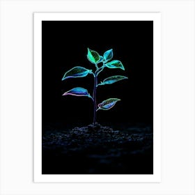 Neon Plant In The Dark Affiche