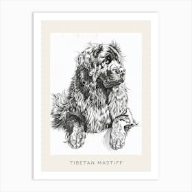 Tibetan Mastiff Dog Line Sketch 2 Poster Art Print