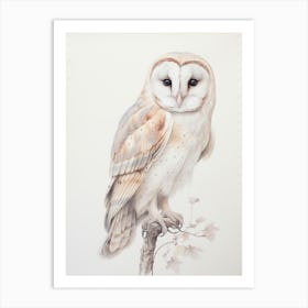 Vintage Bird Drawing Barn Owl 2 Art Print