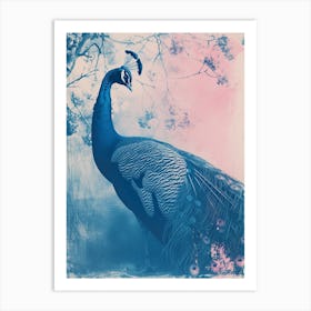 Peacock By The Tree Cyanotype Inspired Art Print