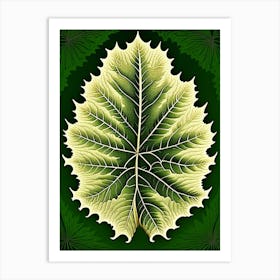 Elm Leaf Vintage Botanical 3 Art Print