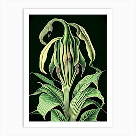 Jack In The Pulpit 3 Floral Botanical Vintage Poster Flower Art Print