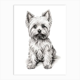 Yorkshire Terrier Dog, Line Drawing 1 Art Print