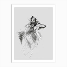 Shetland Sheepdog Charcoal Line 2 Art Print