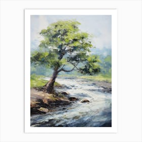 Tree By The River 1 Art Print