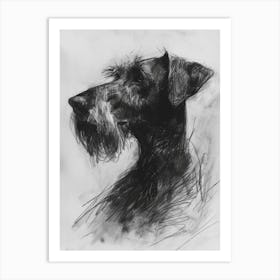 Wirehaired Vizsla Dog Charcoal Line Art Print
