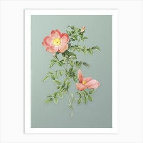 Vintage Red Sweetbriar Rose Botanical Art on Mint Green n.0668 Art Print