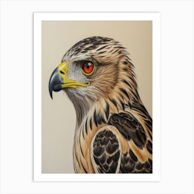 Hawk hawk 1 Art Print