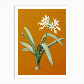 Vintage Pancratium Illyricum Botanical on Sunset Orange n.0113 Art Print