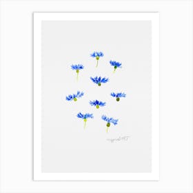 Blue Cornflowers Watercolor Artwork Art Print