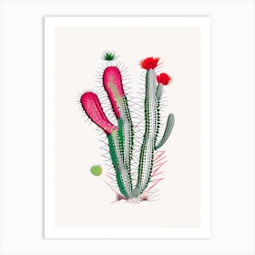 Austrocylindropuntia Subulata Minimal Line Drawing Art Print