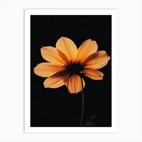 Orange Flower 6 Art Print