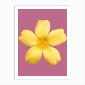 Yellow Flower On Pink Background Art Print