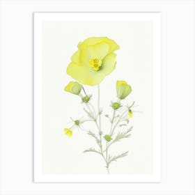 Buttercup Floral Quentin Blake Inspired Illustration 2 Flower Art Print