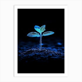 Plant In The Dark 18 Art Print