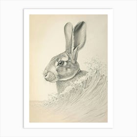 Rhinelander Rabbit Drawing 4 Art Print