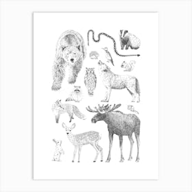 Woodland Animal Print Art Print