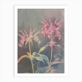 Iridescent Flower Bee Balm 2 Art Print