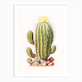 Rebutia Cactus Marker Art 1 Art Print
