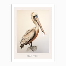 Vintage Bird Drawing Brown Pelican 2 Poster Art Print