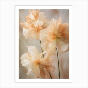 Boho Dried Flowers Amaryllis 2 Art Print