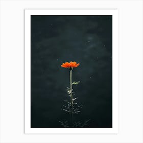 Red Flower 7 Art Print