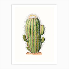 Turk S Head Cactus Marker Art 1 Art Print