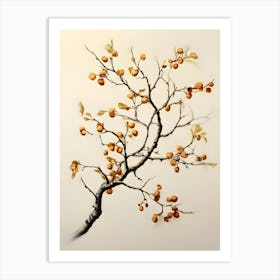 Apricot Tree Art Print