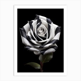 Black And White Rose 2 Art Print