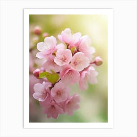 Cherry Blossoms 38 Art Print