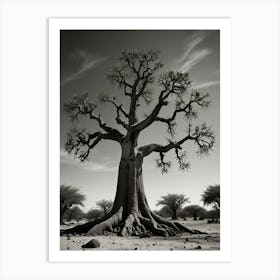 Baobab Tree Art Print