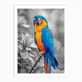 Colorful Parrot 1 Art Print