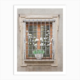 Window With Bars Art Print