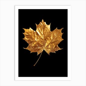 Gold Leaf Isolated On Black Background Art Print