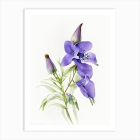 Marsh Bellflower Wildflower Watercolour Art Print