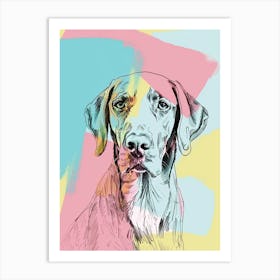 Chesapeake Bay Retriever Dog Pastel Line Watercolour Illustration 4 Art Print