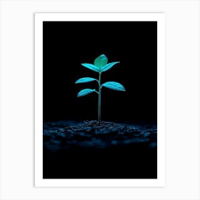 Small Green Plant On Black Background 2 Art Print