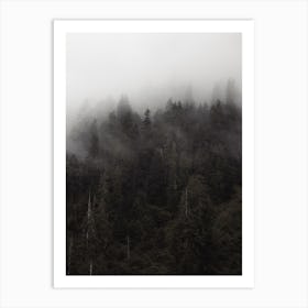 Rugged Foggy Forest Art Print